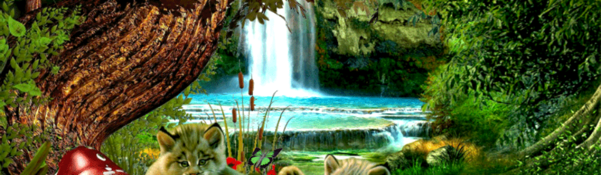Política Ambiental
